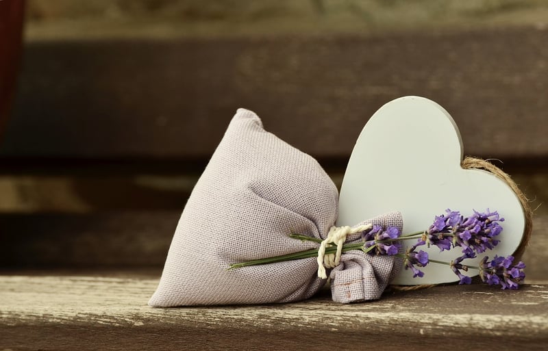 Lavender field